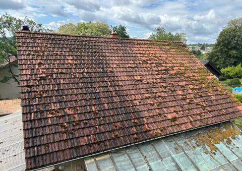 Dach vor der Reinigung