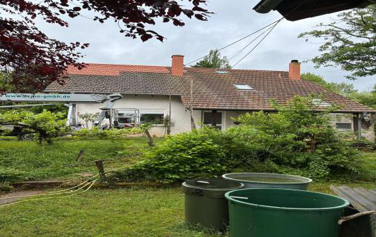 Dach vor der Reinigung