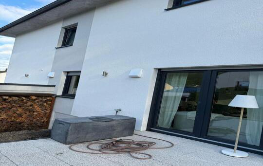 Putzfassade mit starkem Algenbelag